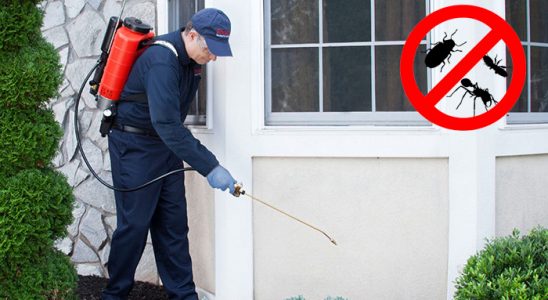 Hekimhan Akrep İlaçlama böcek ilaçlama ve haşere kontrolü — ilaclama-tr.com